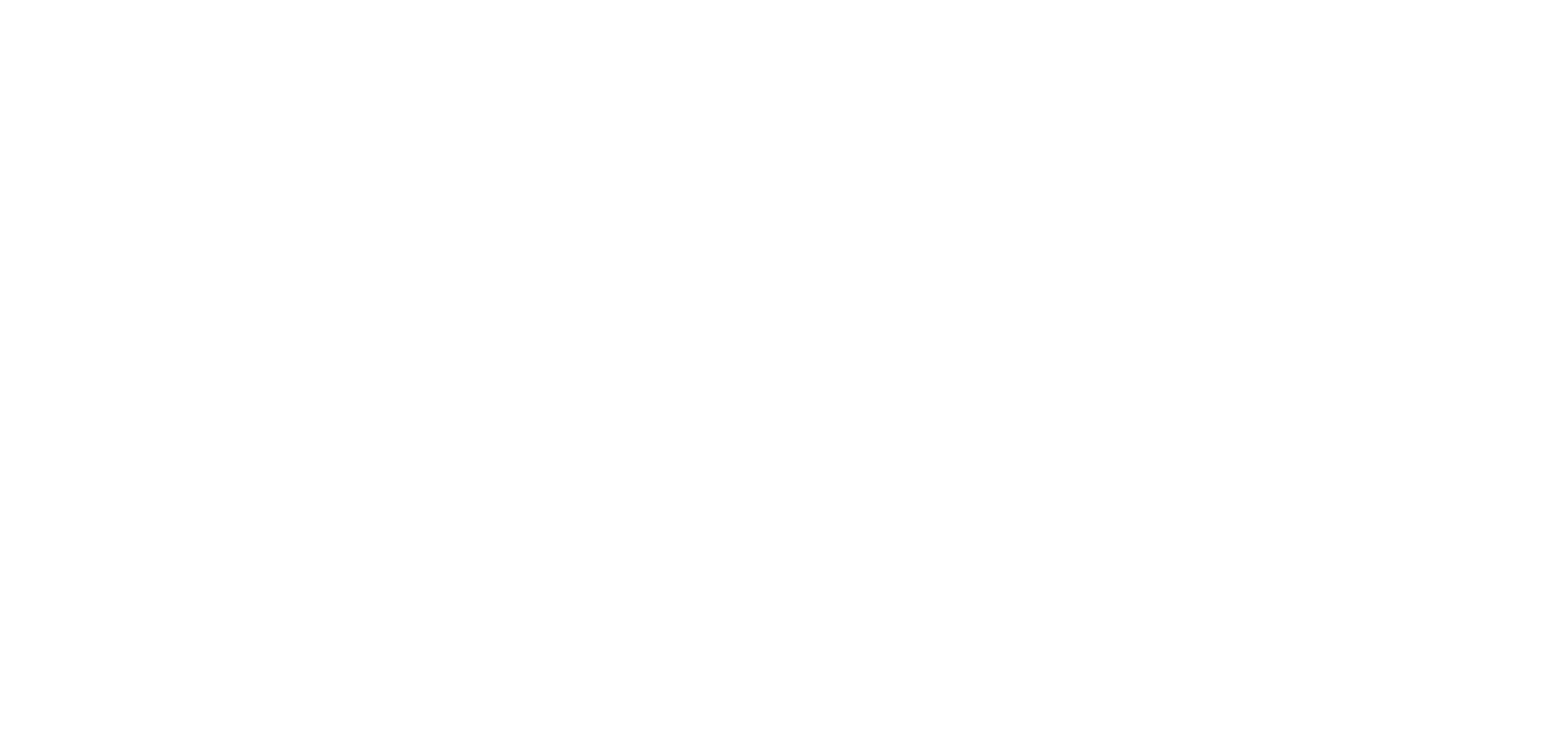 Logo NATIVO Actualizado Blanco